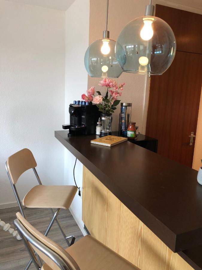 Grosses Appartement Mit Aussichtsbalkon Ludwigsburg Bagian luar foto